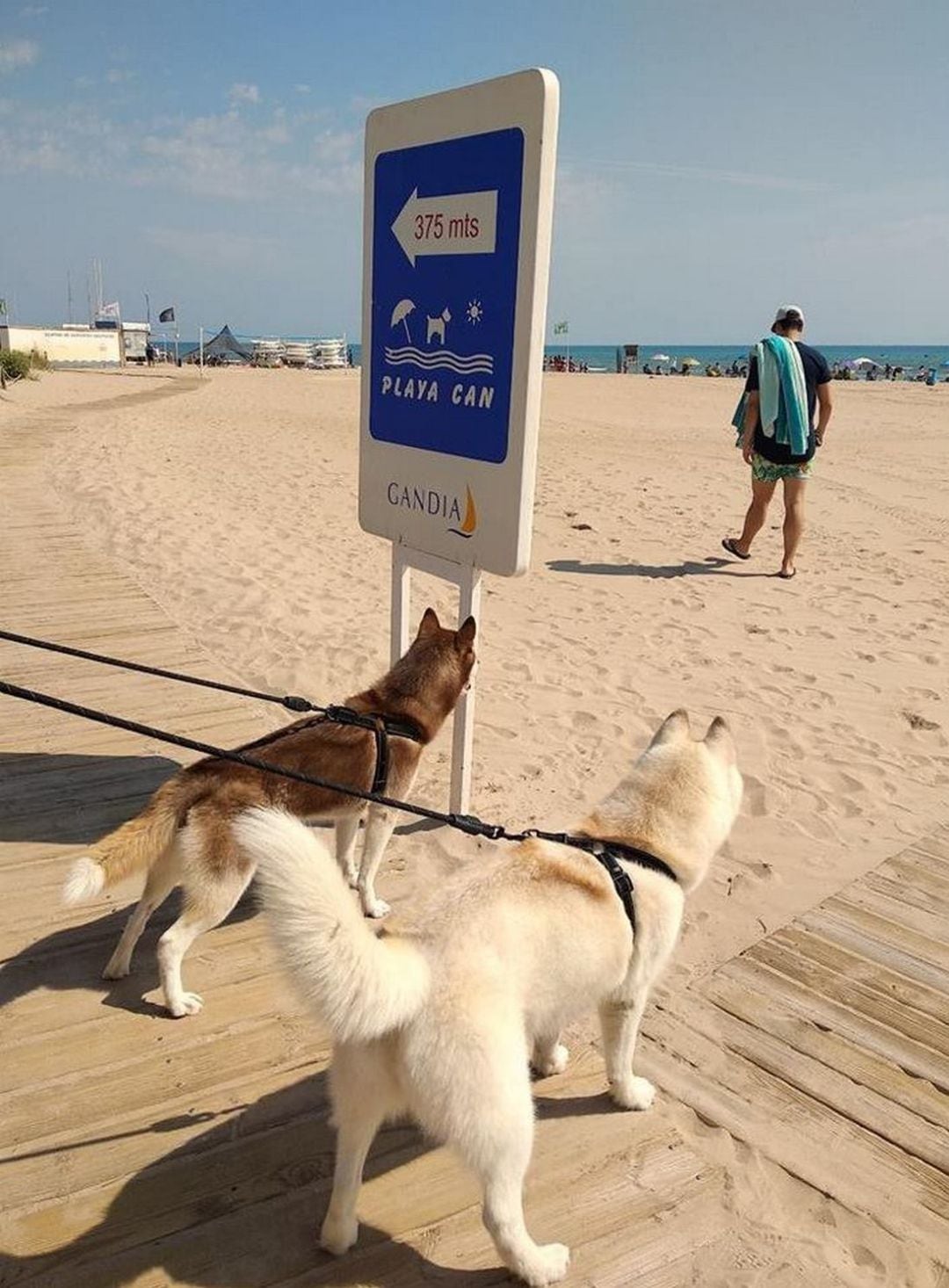 Imagen para el recuerdo del Playa Can en la playa de l&#039;Auir de Gandia. 