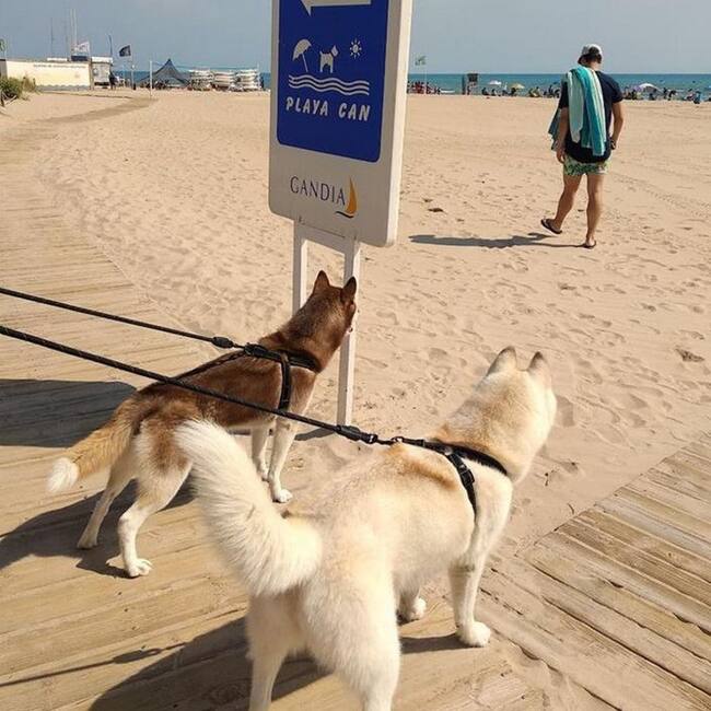 Imagen de archivo de la Playa Can en la playa de l'Auir de Gandia.