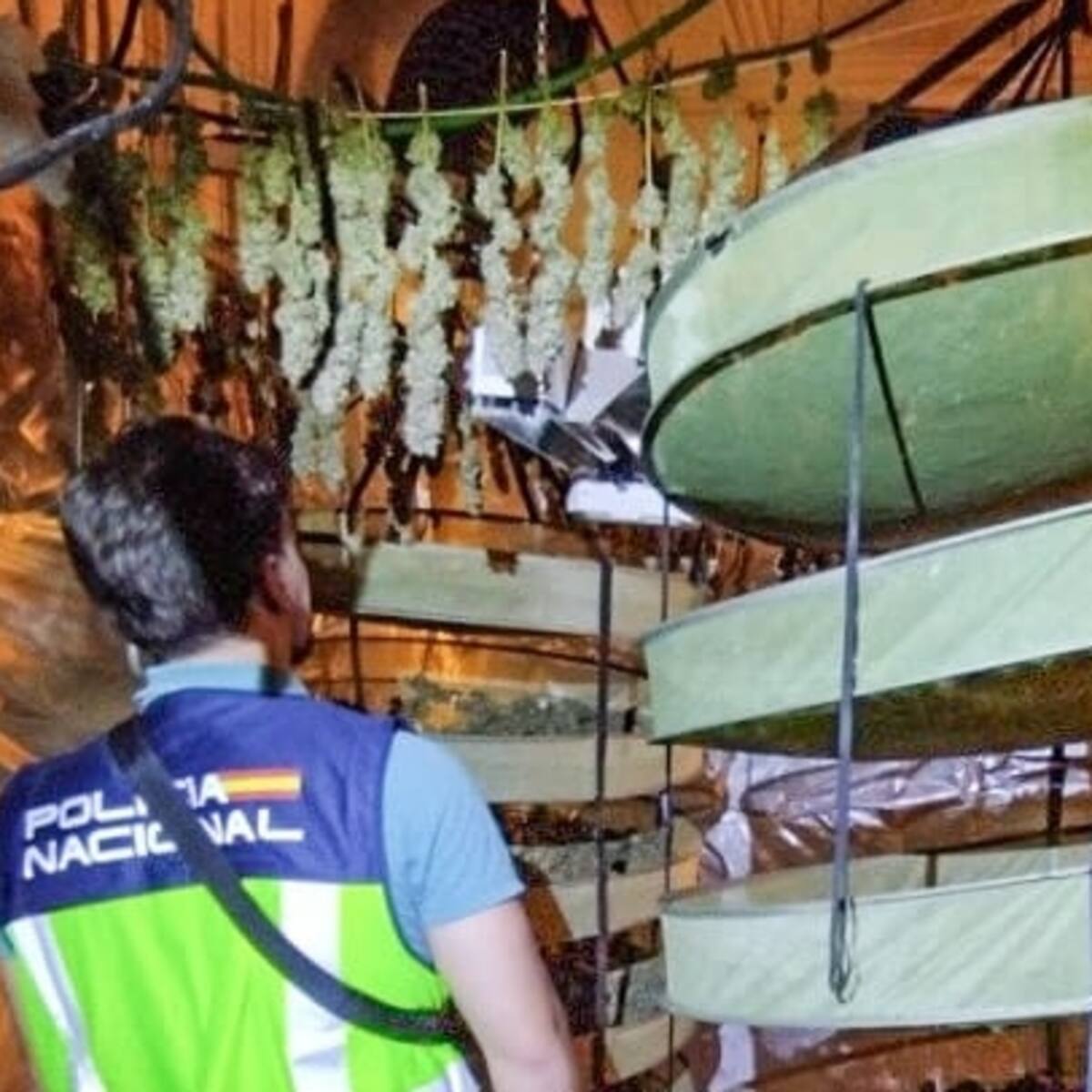 Desarticulado en Petrer un activo punto de venta de marihuana con un detenido
