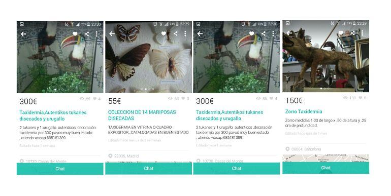 No és difícil trobar espècies protegides a la venda a Internet i a aplicacions mòbils