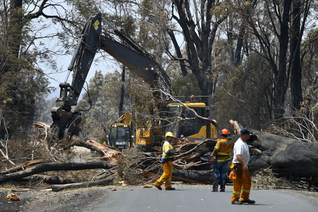 Imagen de archivo de las labores de retirada de árboles quemados en los incendios forestales de Australia de principios de año