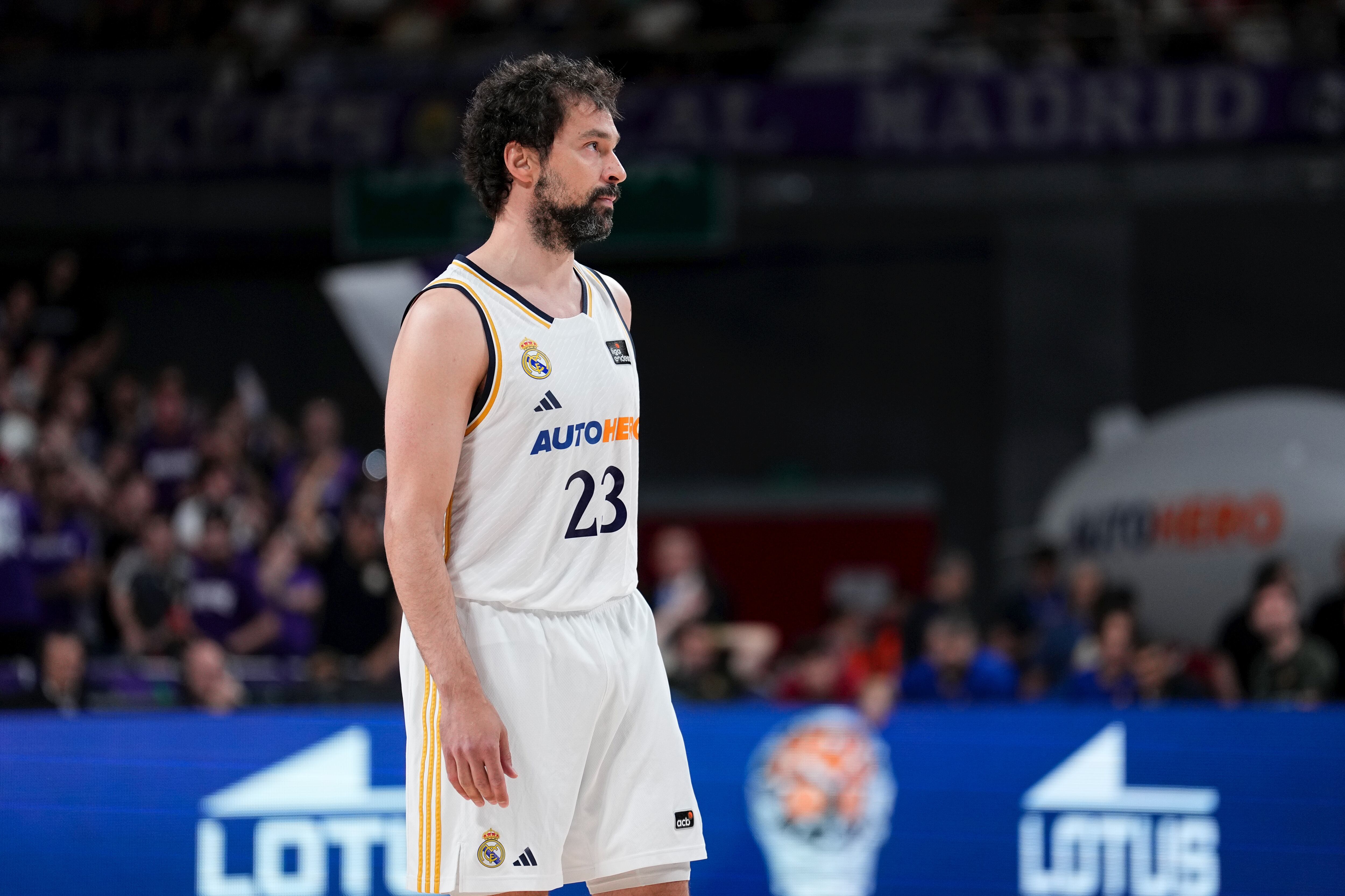Sergi Llull i el Real Madrid és a un triomf de guanyar la lliga.