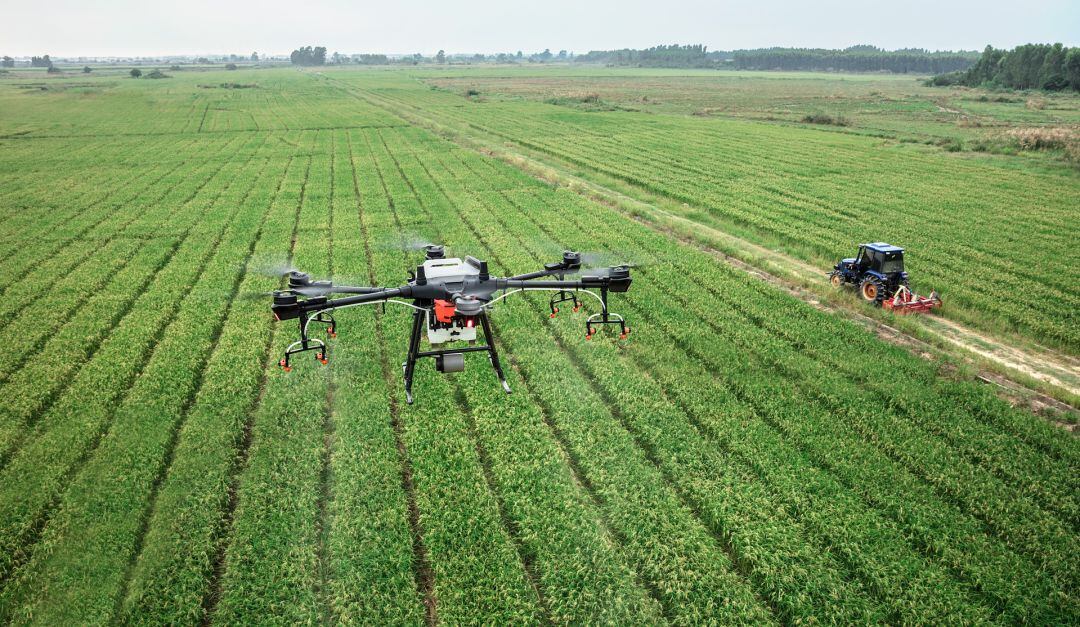 Experiencias de tecnología digital con drones en un campo de cultivo