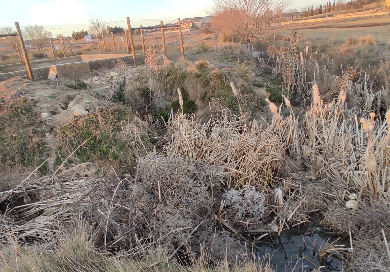 C&#039;s consigue que la Confederación se comprometa a la limpieza del arroyo El Gato en Fuentes de Valdepero