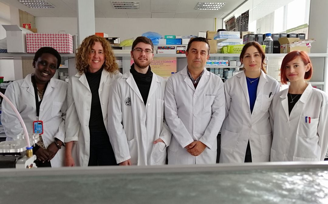 Miembros del grupo de investigación de la Universidad de Jaén.