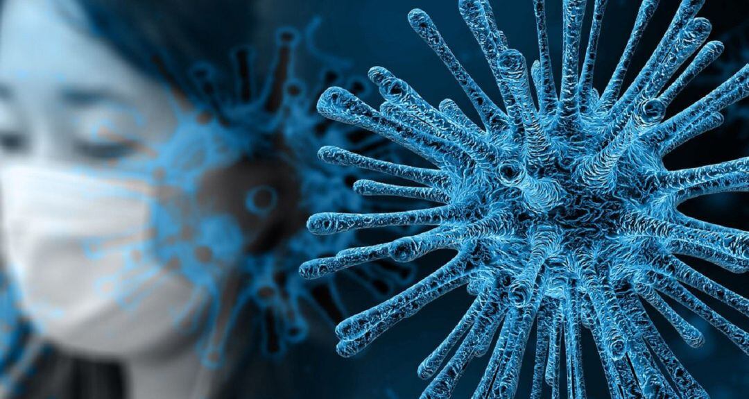 Los estudios epidemiológicos sobre los pacientes afectados y la aplicación de los protocolos de prevención establecidos han permitido detectar en las últimas horas siete nuevos casos de coronavirus en Navarra