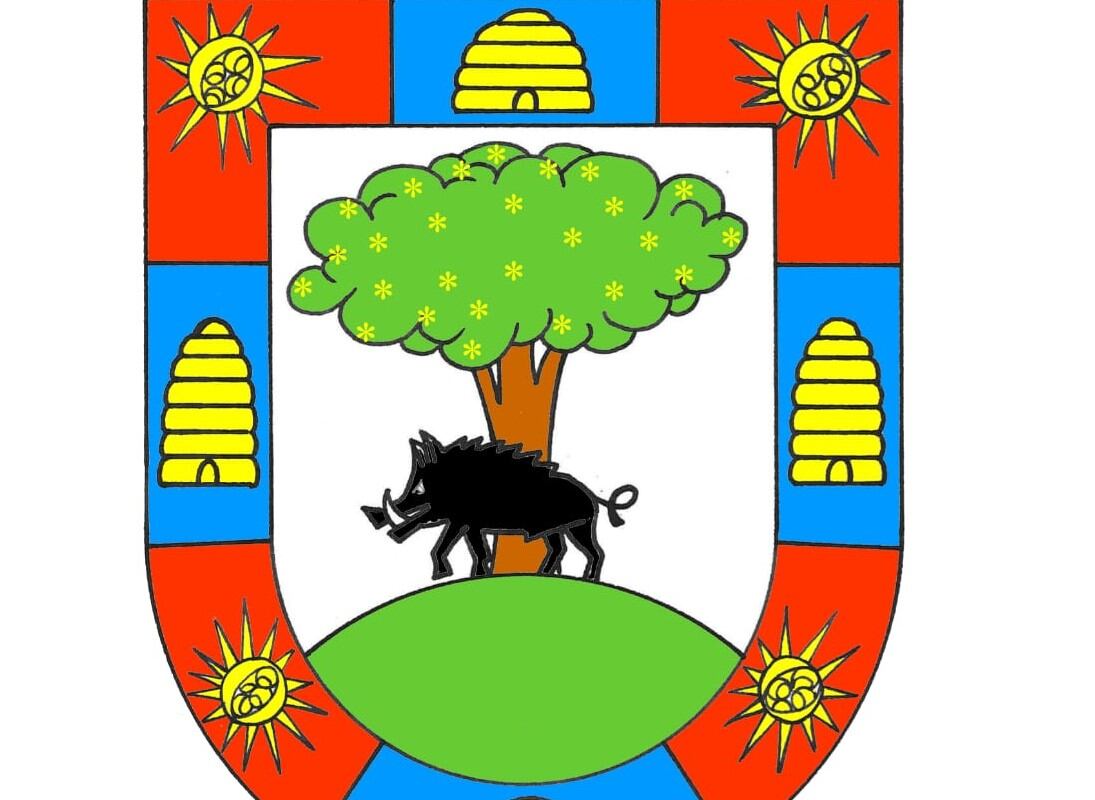 Imagen del escudo