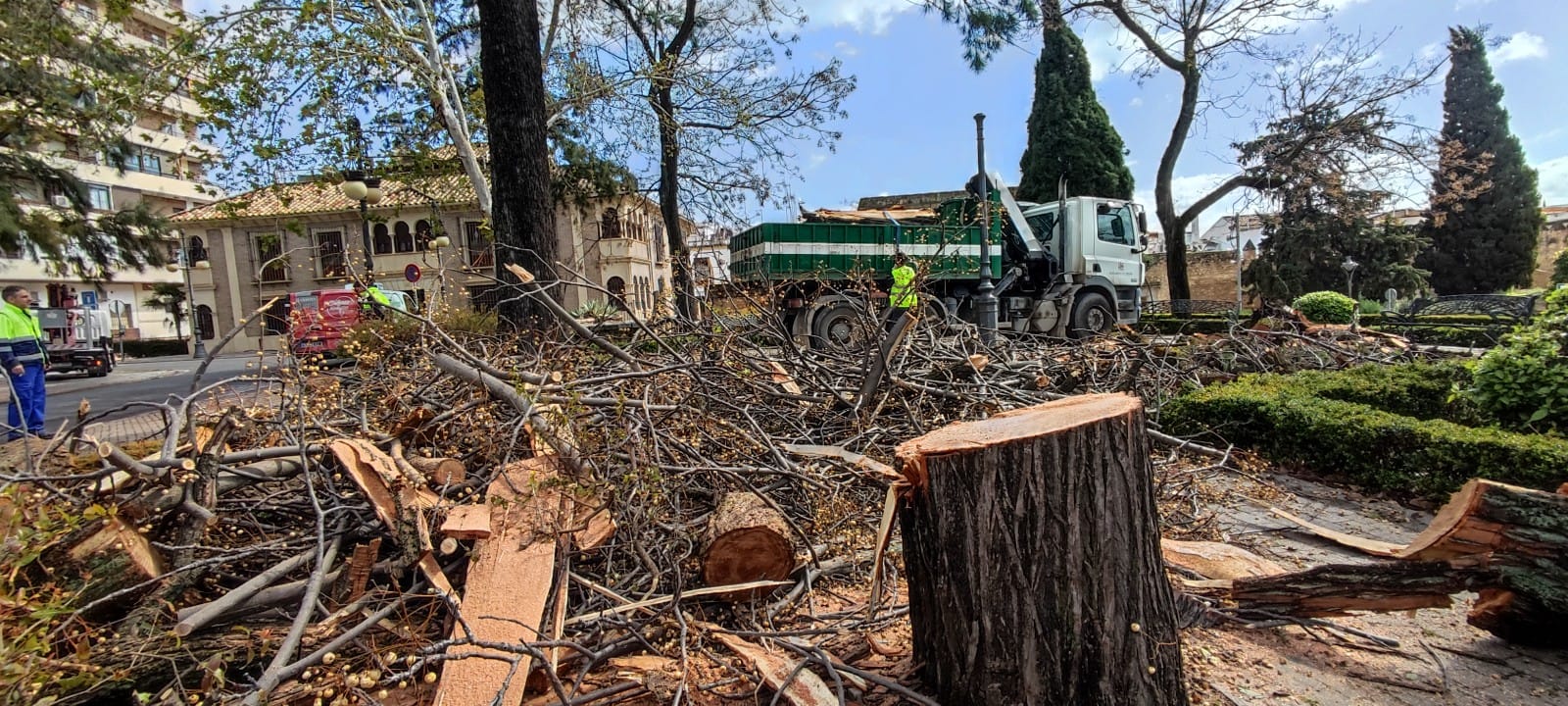 Operarios de Infraestructuras del Ayuntamiento de Córdoba retiran las ramas caídas y árboles dañados por el tornado de este fin de semana