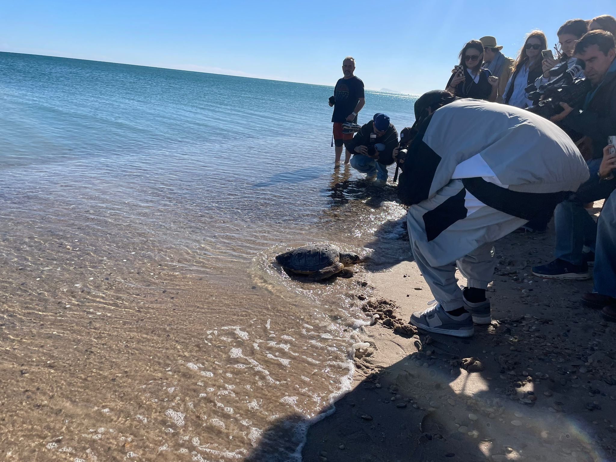 Artistas y locutores de LOS40 liberan tortugas marinas junto al Oceanogràfic en una jornada por el medio ambiente