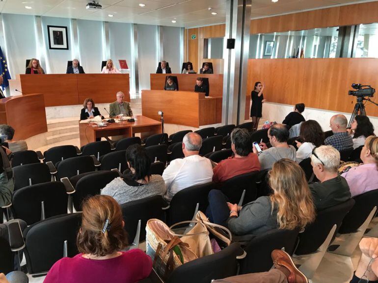 Imagen del pleno con los trabajadores de cas Serres