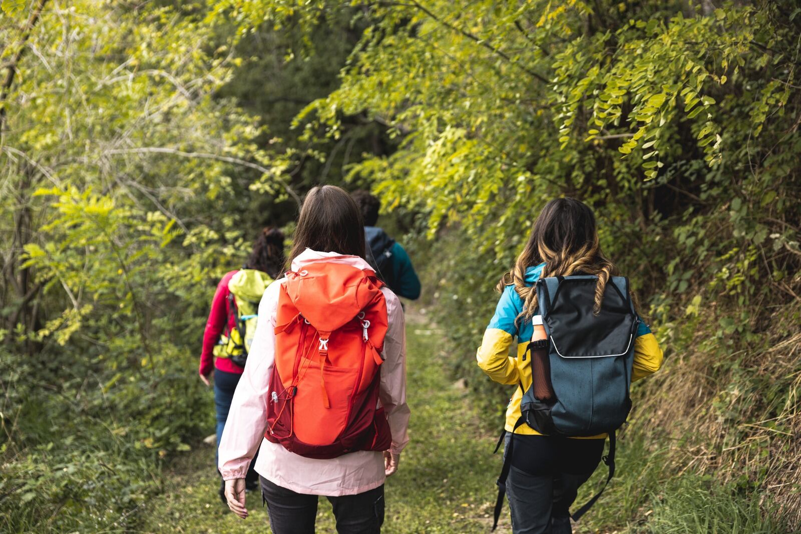 Imagen de recurso de niños de excursión.