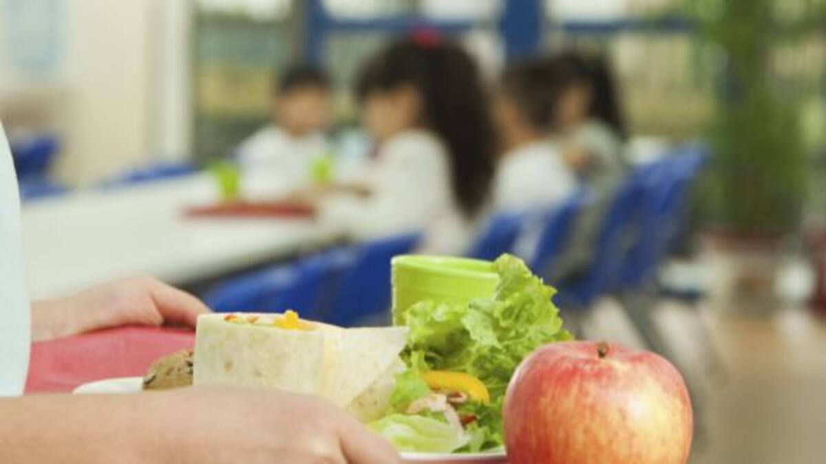 Audio: Belén Díaz, portavoz Fapacel Lugo (21/06/2016)