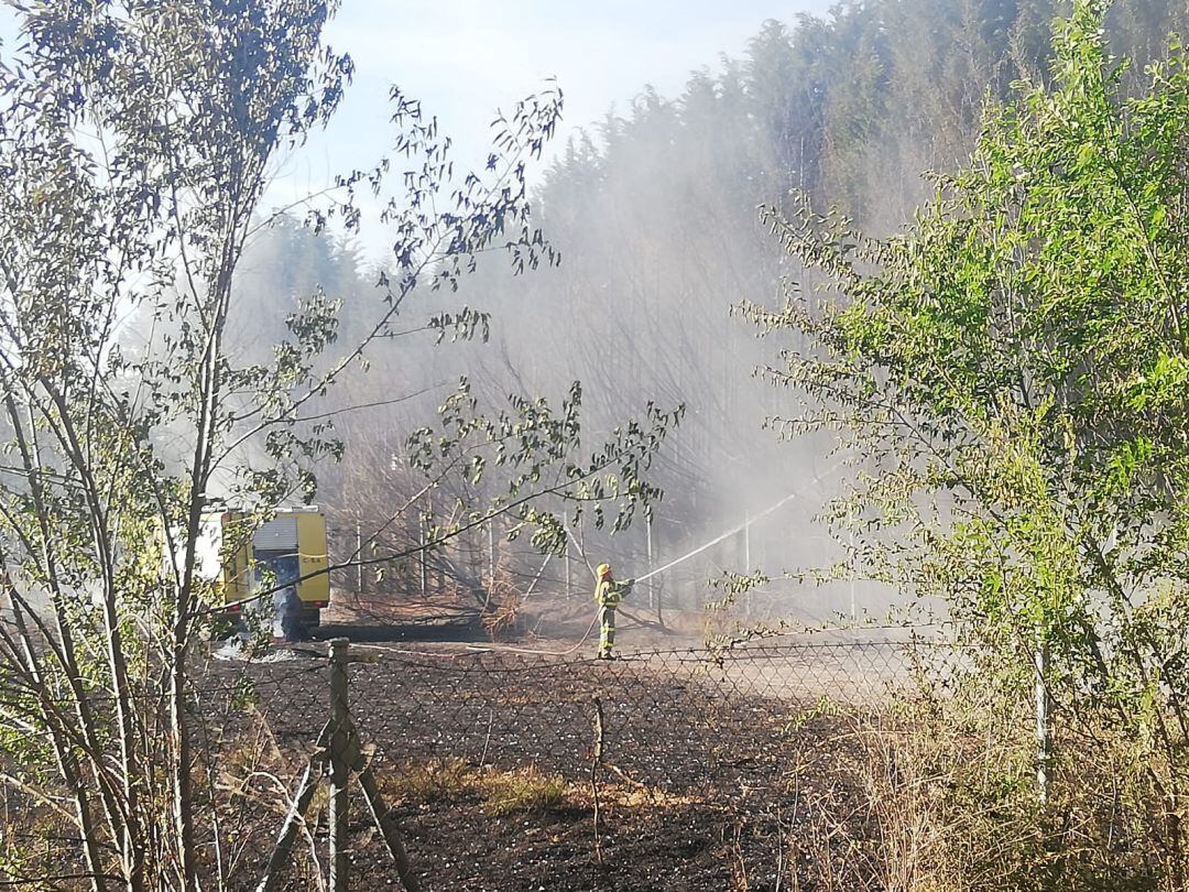 Actuación de los bomberos en el incendio en los entornos de la Dársena