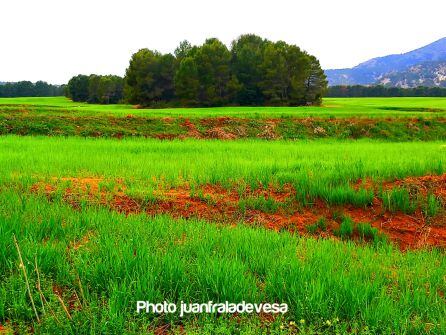 Paisaje tierras altas de Lorca.