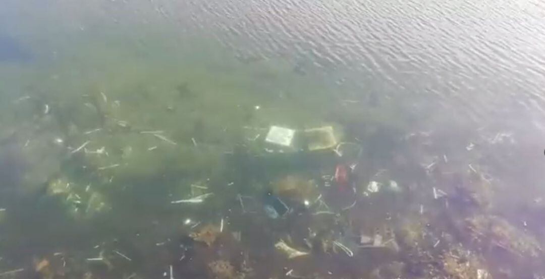 Estado del río Urumea en la desembocadura de Donostia