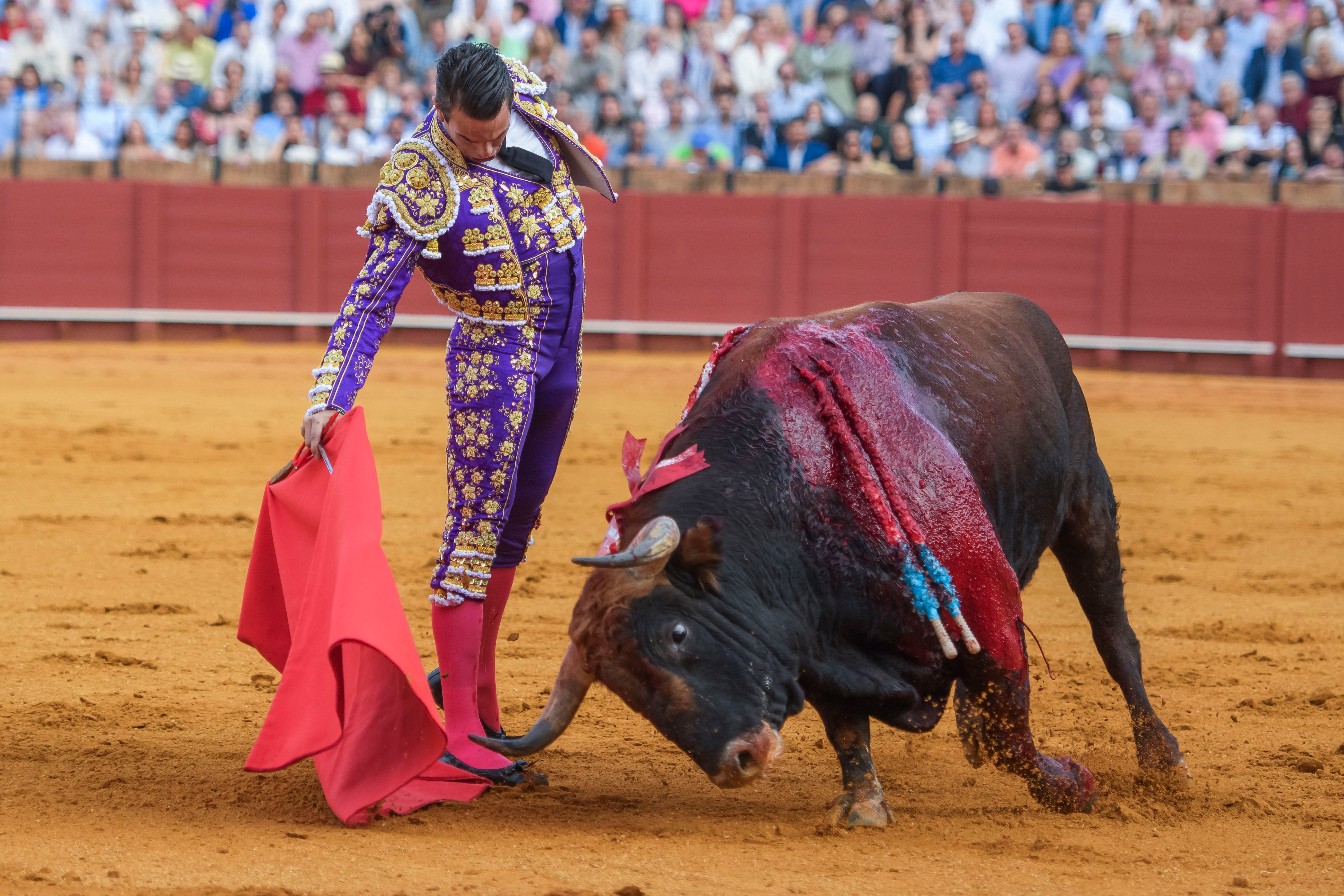 SEVILLA, 28/09/2024.- El diestro José María Manzanares en su primer toro de la tarde en el festejo 23 de abono perteneciente a la Feria de San Miguel, en la plaza de la Maestranza de Sevilla. EFE/ Raúl Caro
