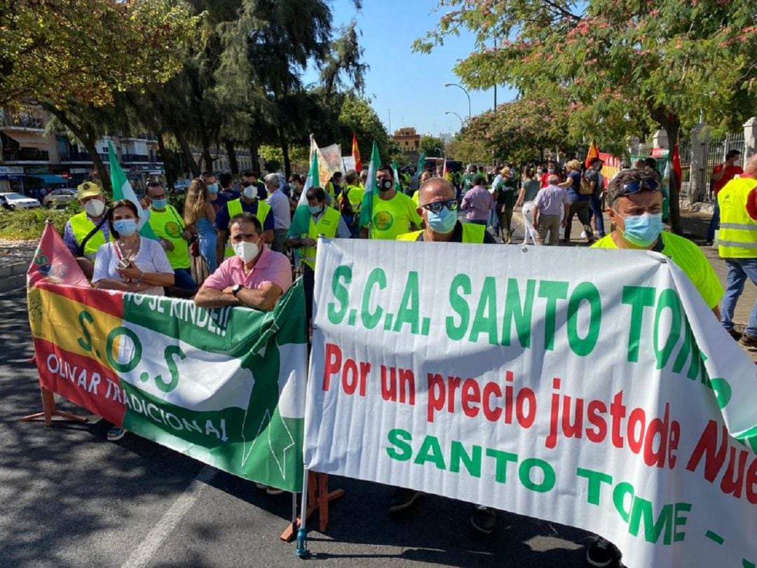 Cientos de agricultores de la Proncia de Jaén se han concentrado ante el Parlamento Andaluz bajo el paraguas de ASOLITE