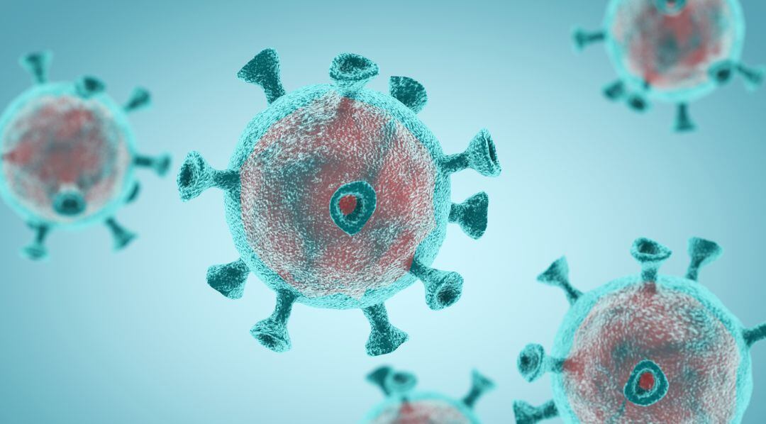 Imágenes del coronavirus