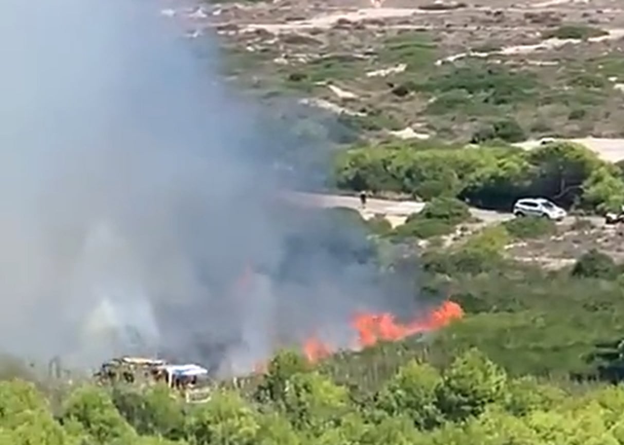 Incendio forestal en la Devesa de la Albufera, que ha sido controlado en 20 minutos por los bomberos.