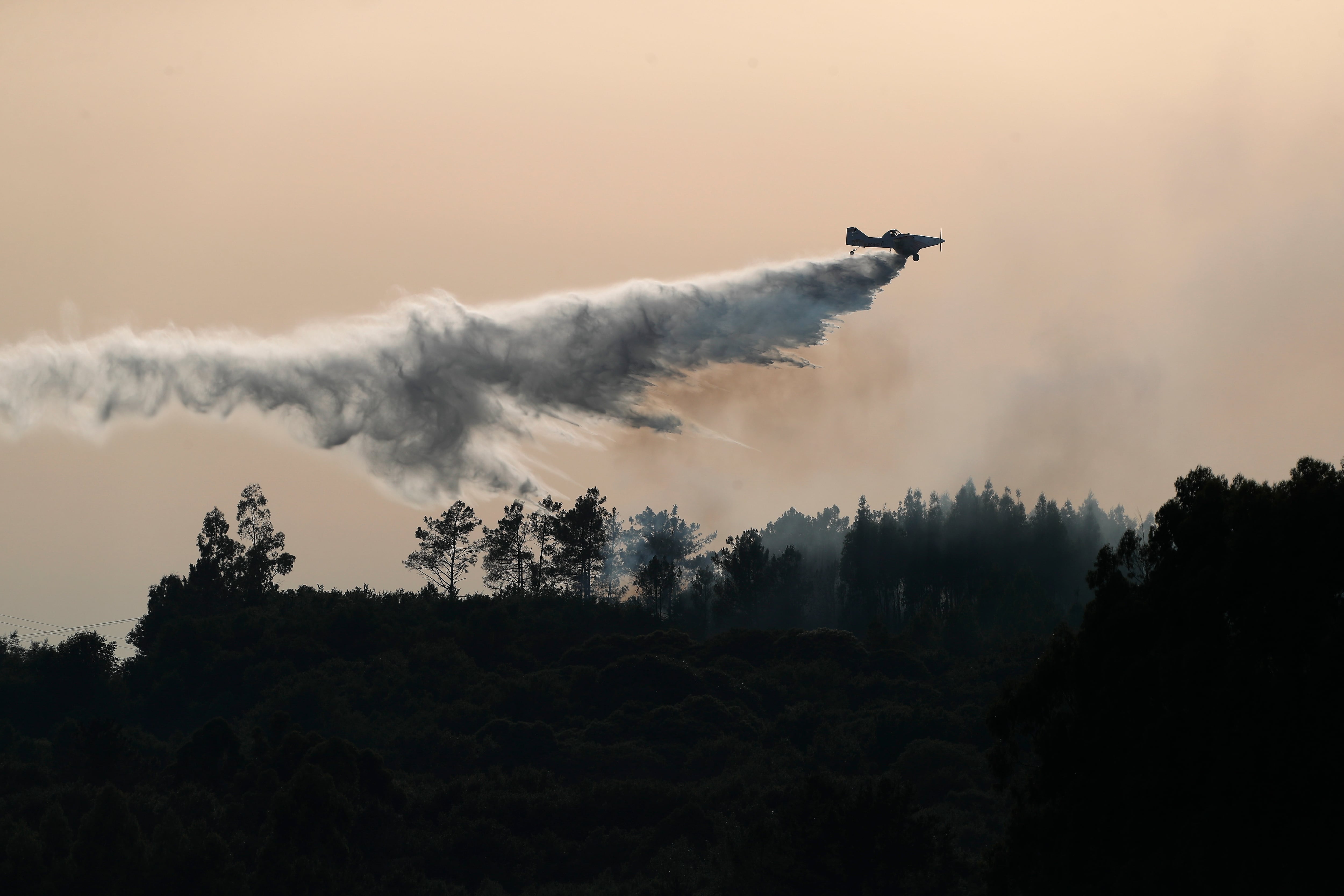 Imagen de un hidroavión intentado sofocar las llamas de un incendio forestal 