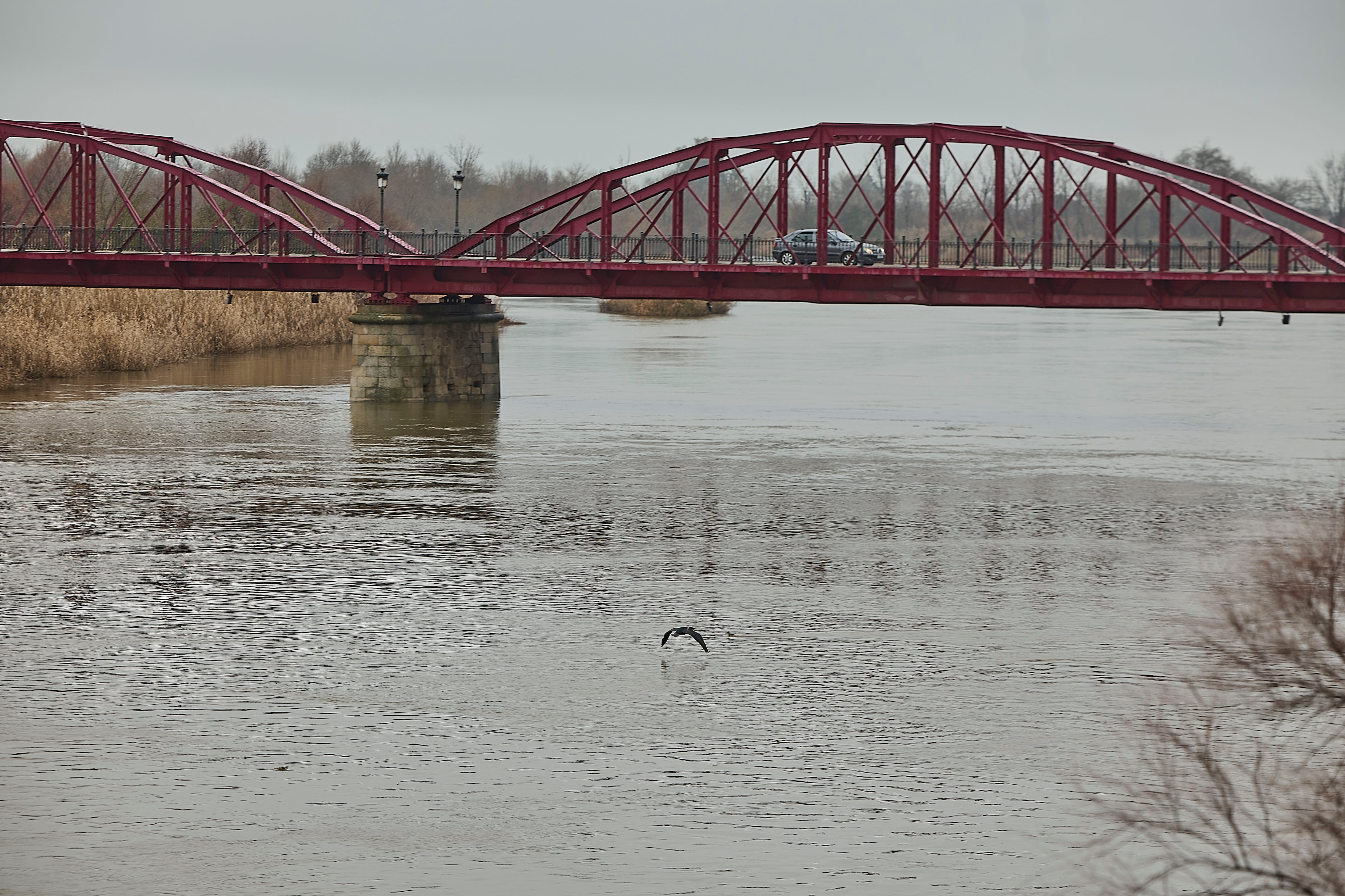 TALAVERA DE LA REINA (TOLEDO), 04/02/2026.- Vista del río Tajo que fluye este miércoles por la ciudad con un caudal de 300 metros cúbicos por segundo, debido a las últimas precipitaciones y a los desembalses.  EFE/Manu Reino