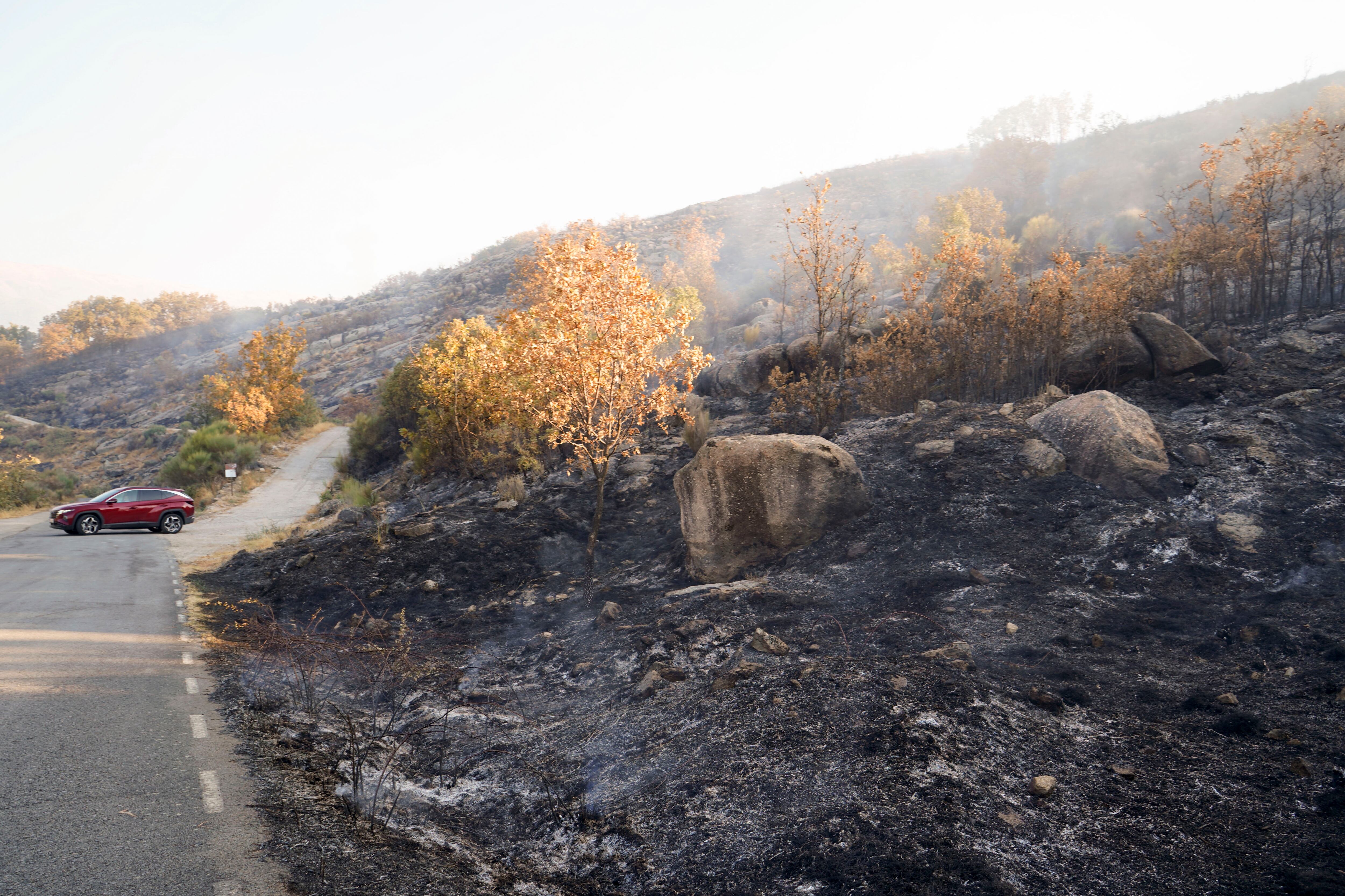 CUACOS DE YUSTE (CÁCERES), 22/09/2025.- Zona quemada por el incendio forestal declarado este domingo en Cuacos de Yuste (Cáceres), que ha arrasado 438 hectáreas de matorral y arbolado. EFE/ EDUARDO PALOMO