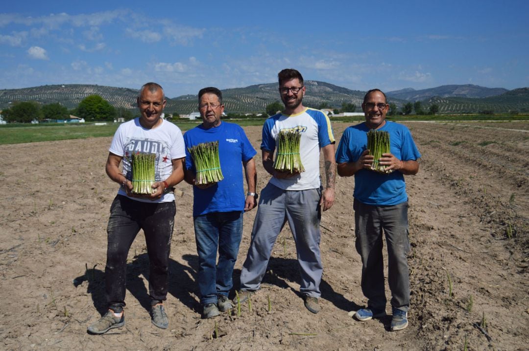 Productores de espárrago verde en la Vega de Granada