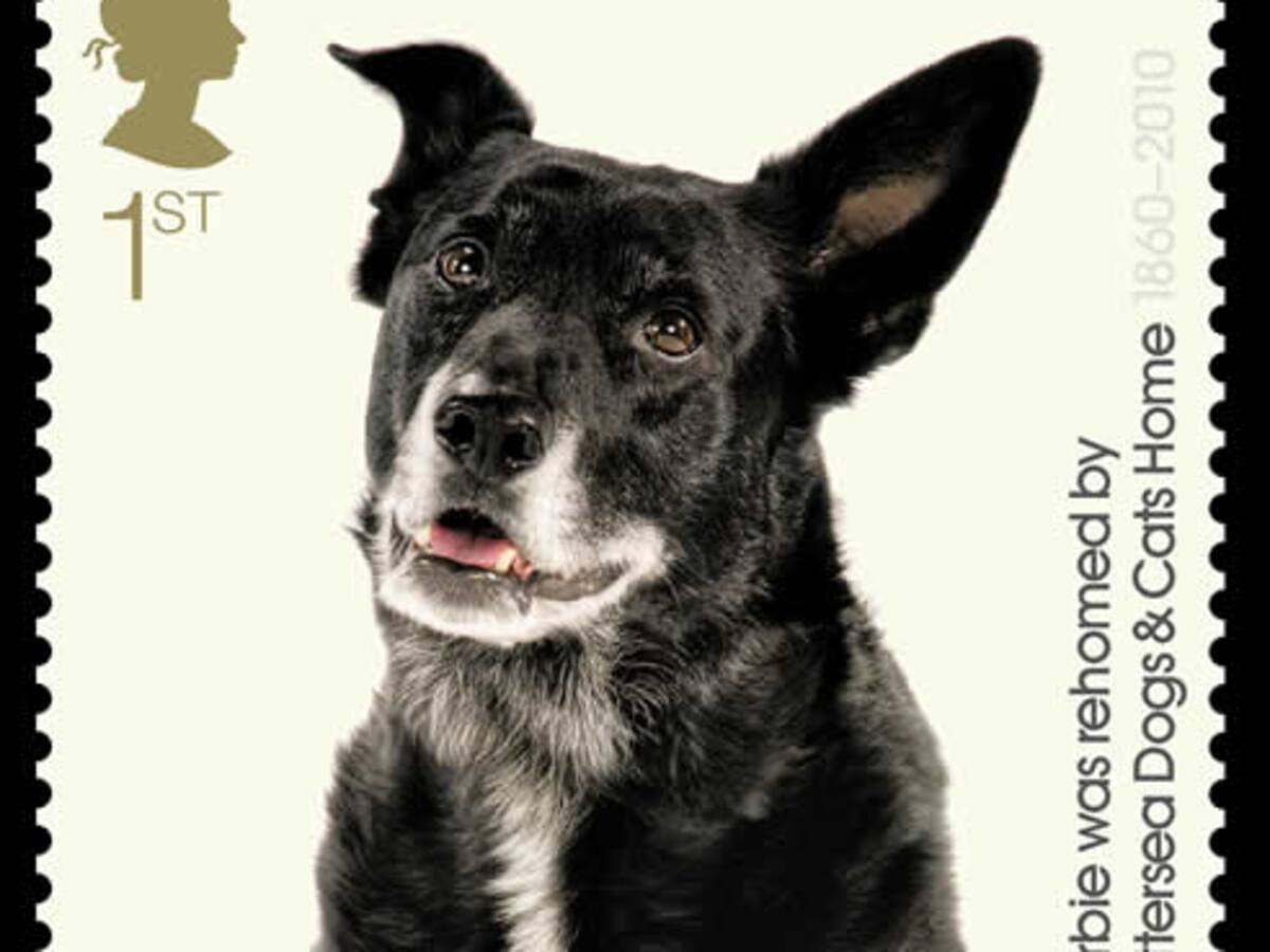 Perros abandonados, 'cara' de los sellos británicos en 2010