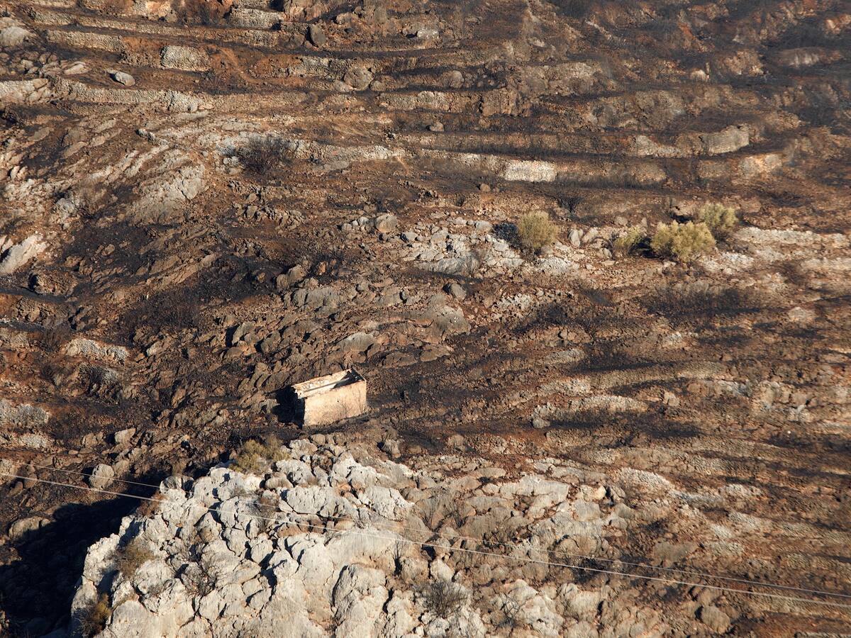 El estado de los terrenos forestales facilita la propagación de incendios