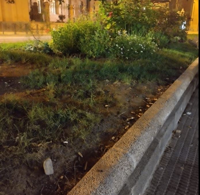 Imagen del jardín junto a un velador frente a los Salesianos