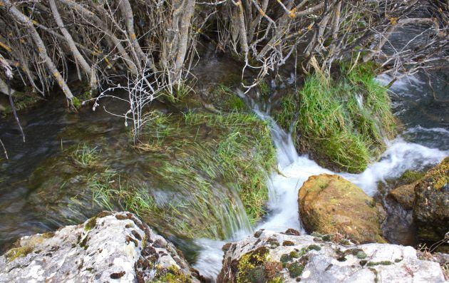 La pureza del agua aquí es extraordinaria.