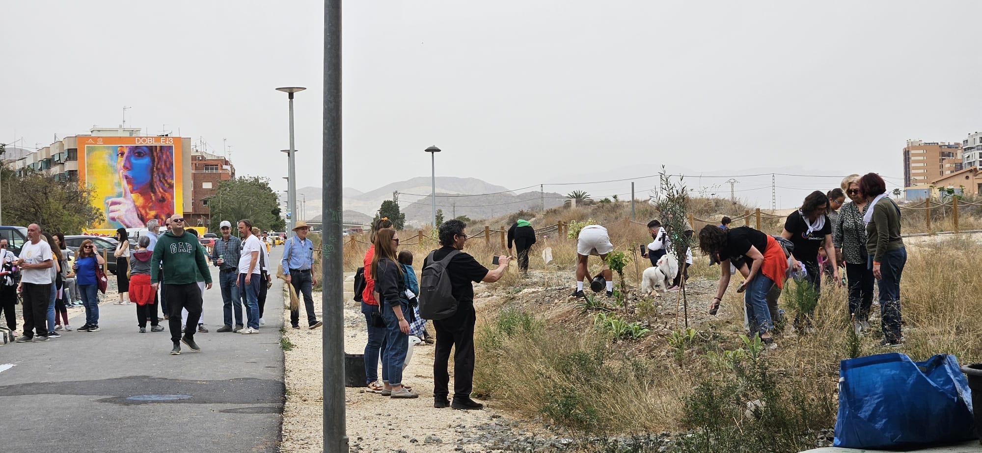 Los vecinos plantan árboles debajo del Puente Rojo