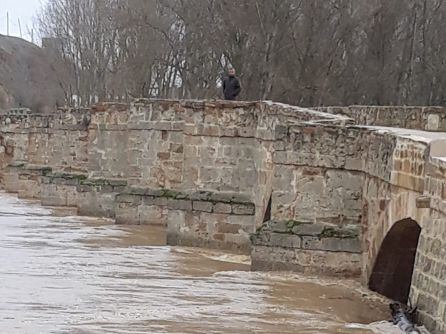 Los ojos del puente de Castrogonzalo a punto de ser tapados por las aguas del río Esla