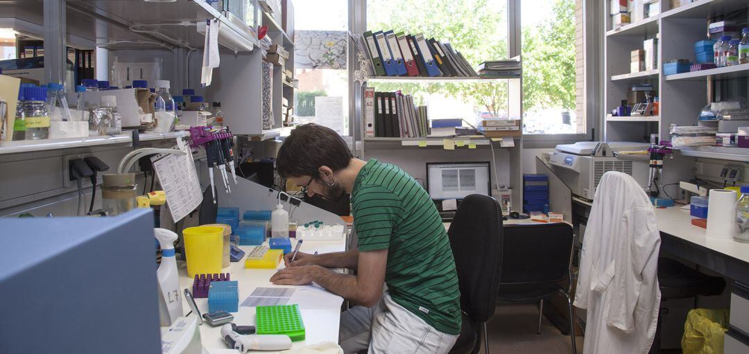 Investigadores trabajan en los laboratorios del CIC (Centro de Investigación del Cáncer) en Salamanca