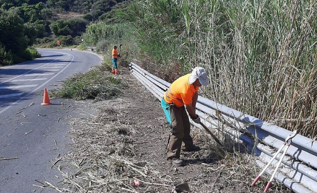 Imagen de la actuación.