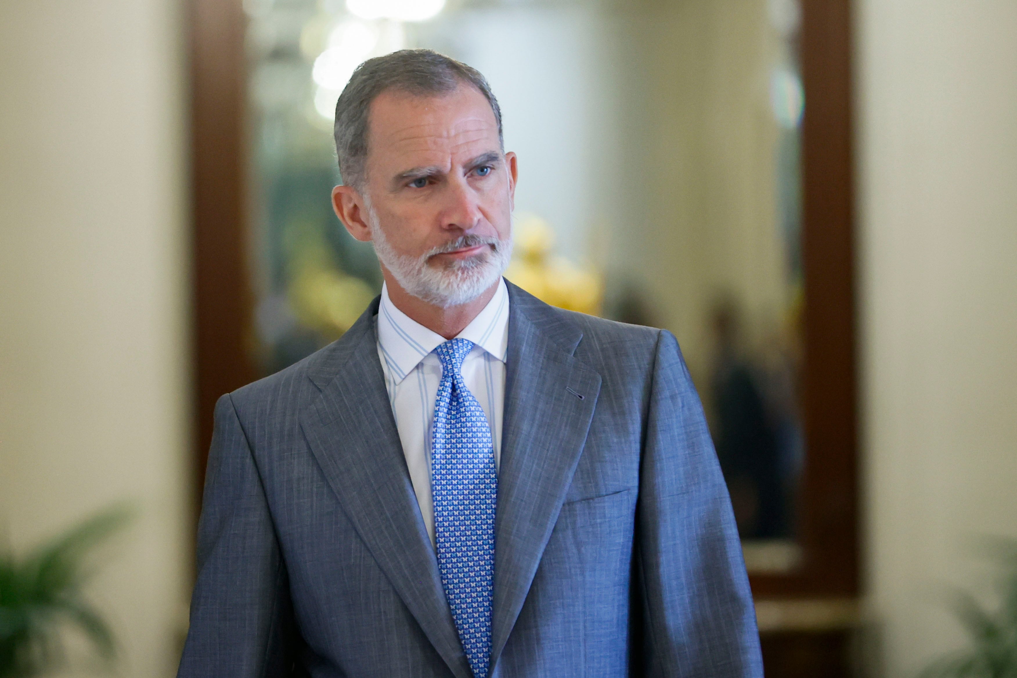 El rey Felipe VI, durante una audiencia en el Palacio de la Zarzuela.