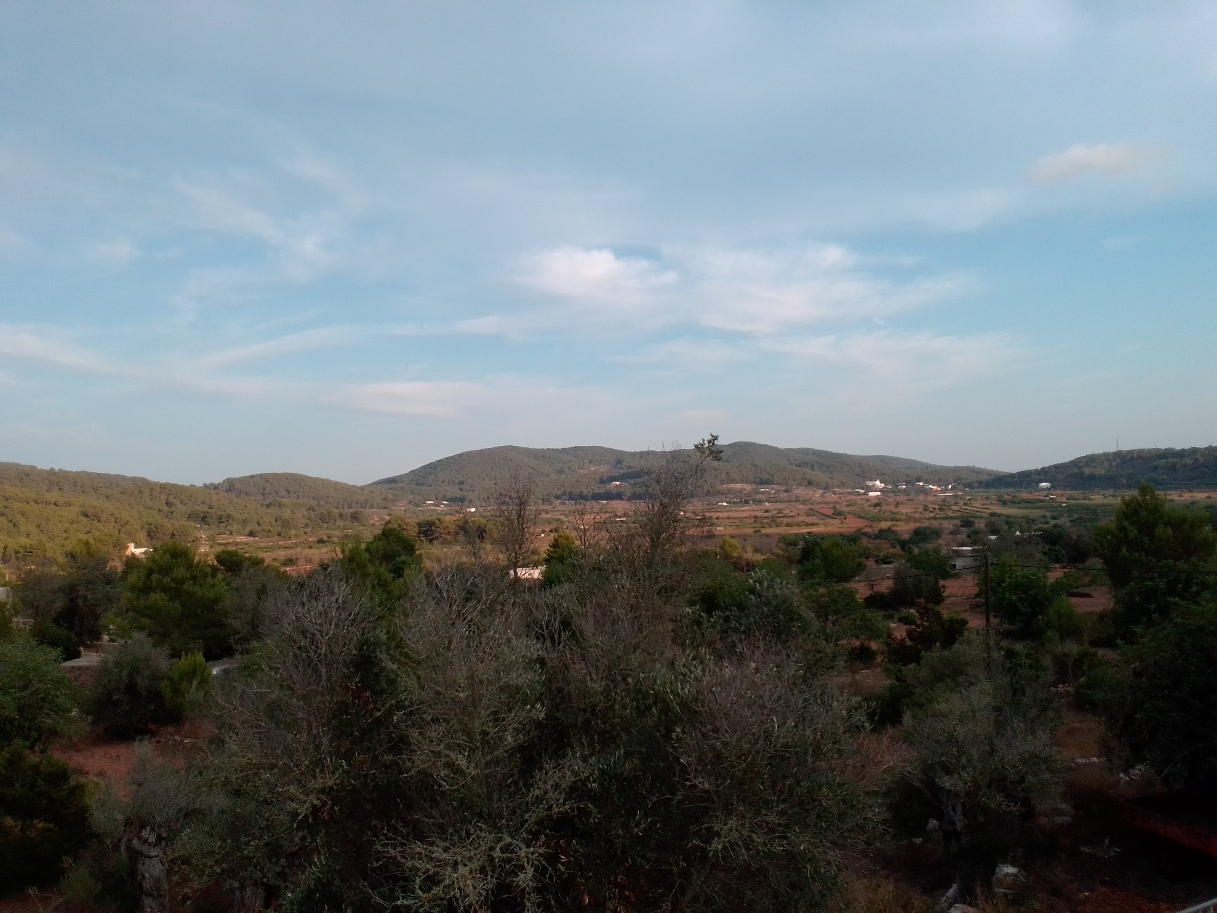 Panorámica de una zona rural de Ibiza