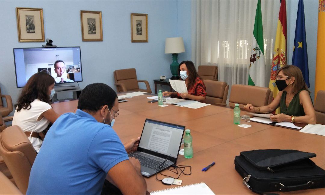 Momento de la reunión de la Comisión Provincial de seguimiento del PFEA