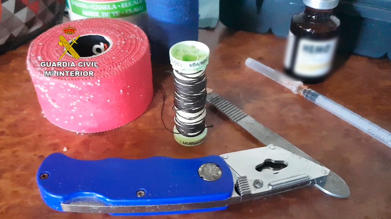 La Guardia Civil ha detenido en València a un veterinario de 59 años por cortar ilegalmente crestas a más de 4.000 gallos para peleas