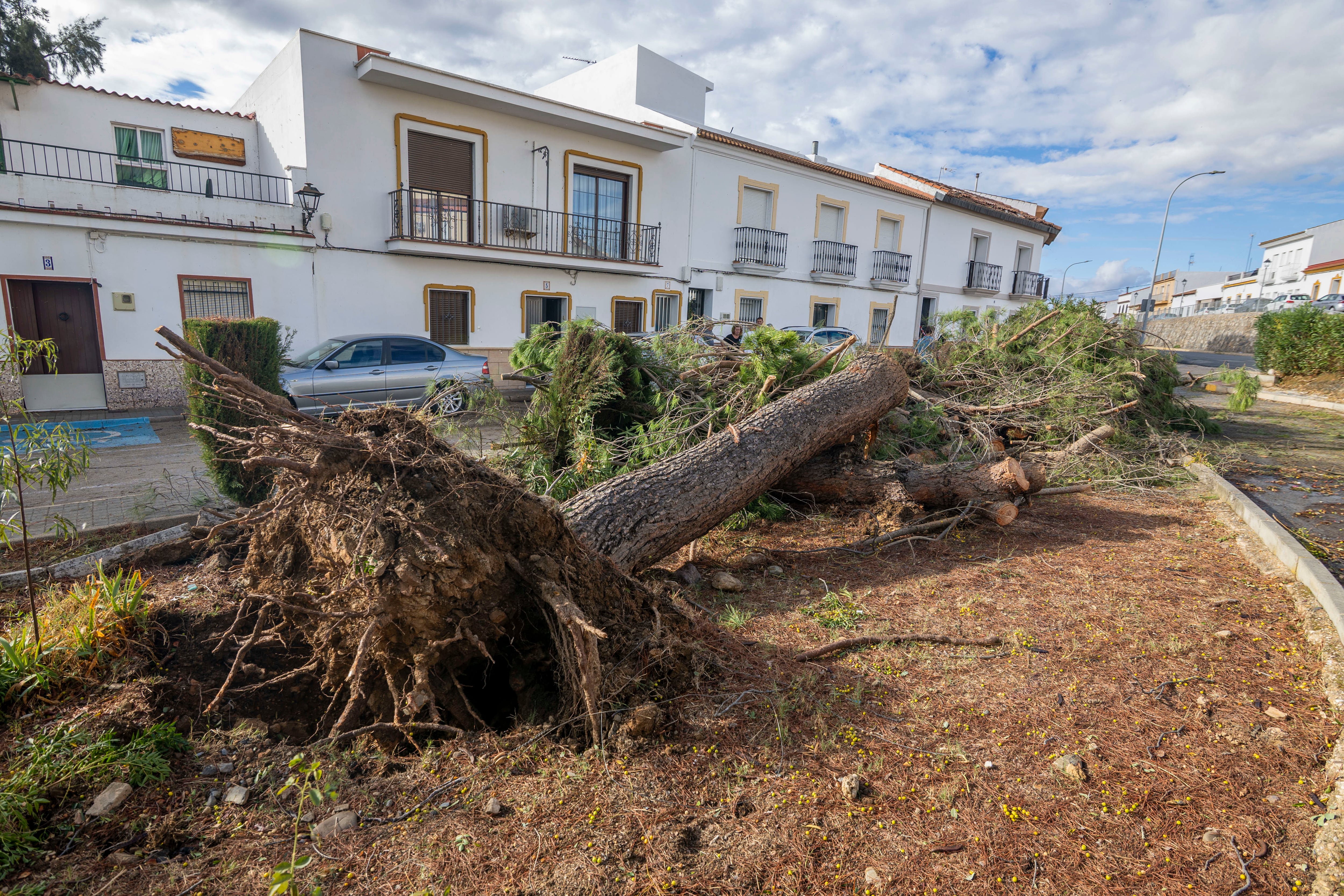 Vista de los destrozos producidos por las fuertes lluvias en Gibraleón este miércoles