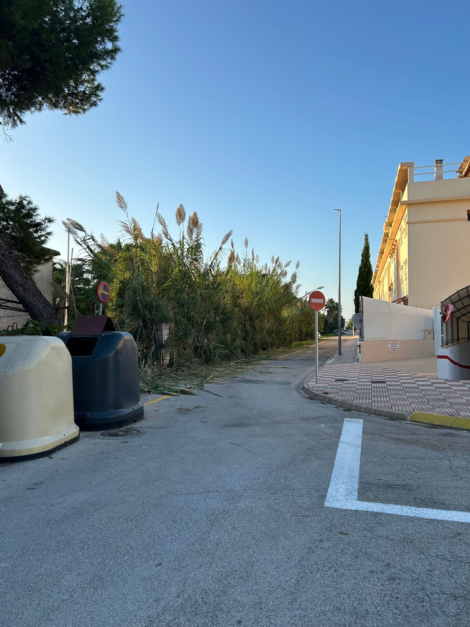 Compromís por Xeraco denuncia la gestión del PP en el mantenimiento de los espacios verdes del municipio