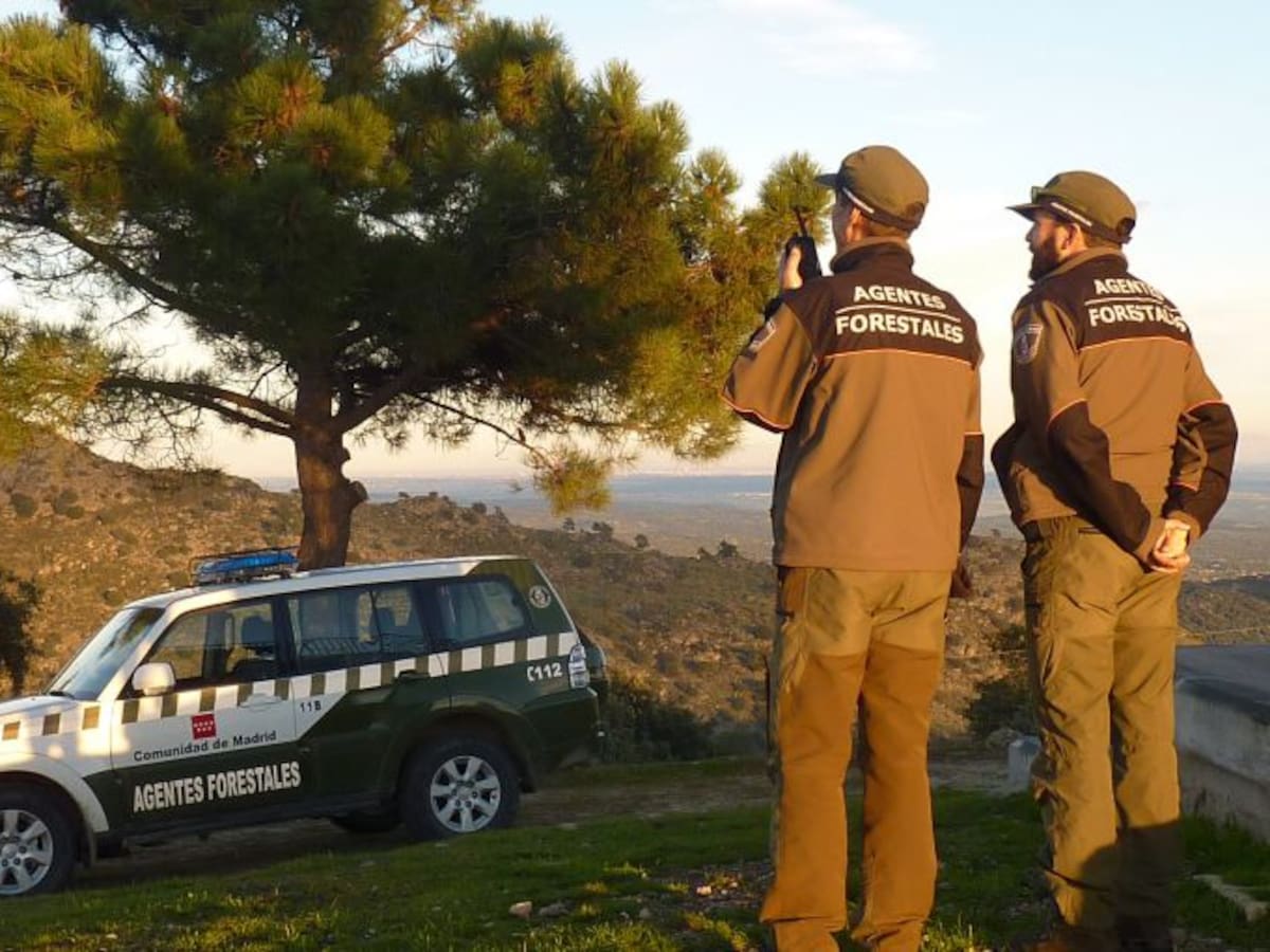 Somos escasos y bastante mayores