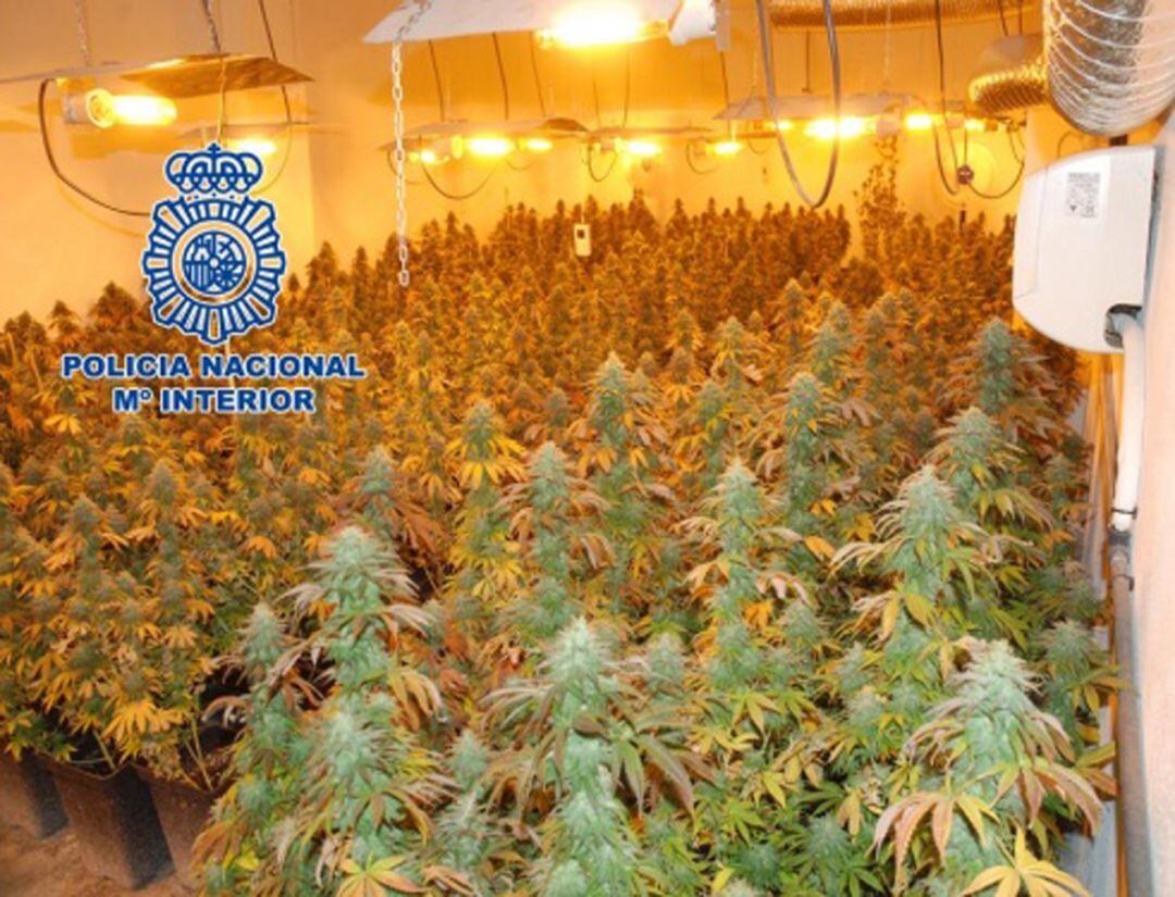 Uno de los cultivos interiores de marihuana desmantelados en Granada