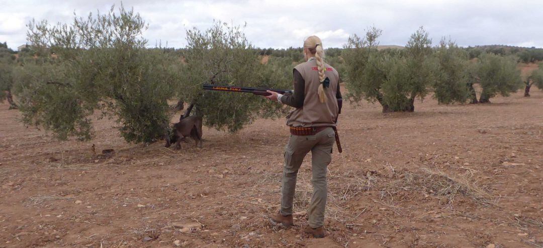 Asaja-Jaén pìde que de manera excepcional se autorice la caza individual durante el estado de alarma.