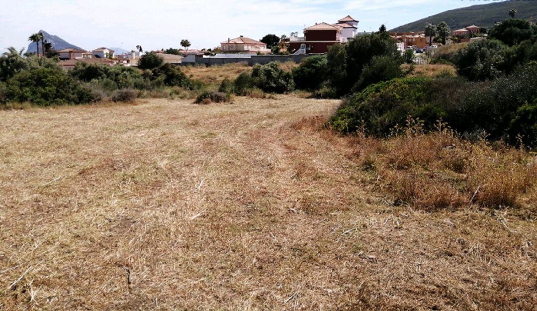 Desbroce de las parcelas.