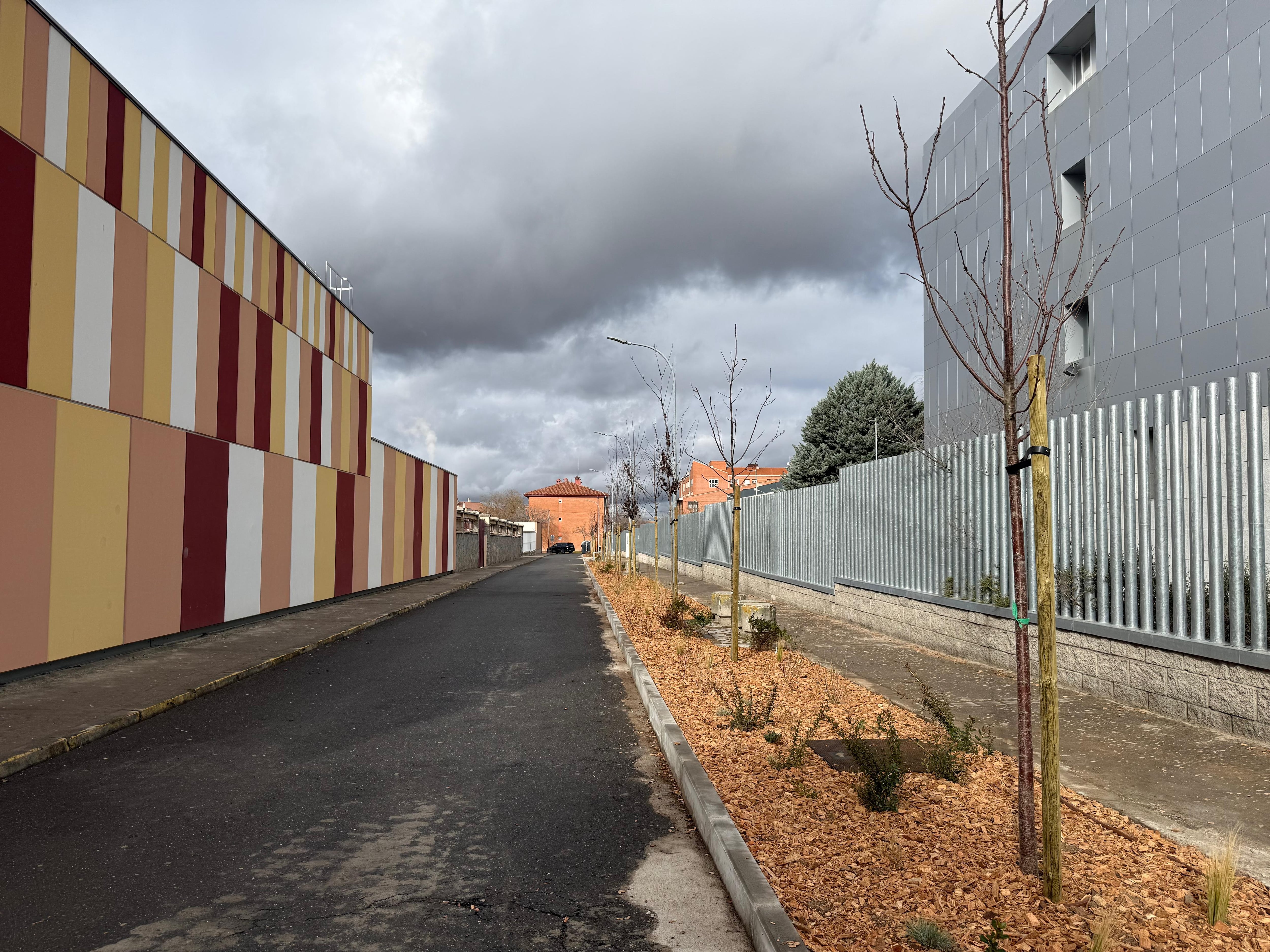 Finalizan las obras de renaturalización en la Albuera y en el entorno del camino de La Presa