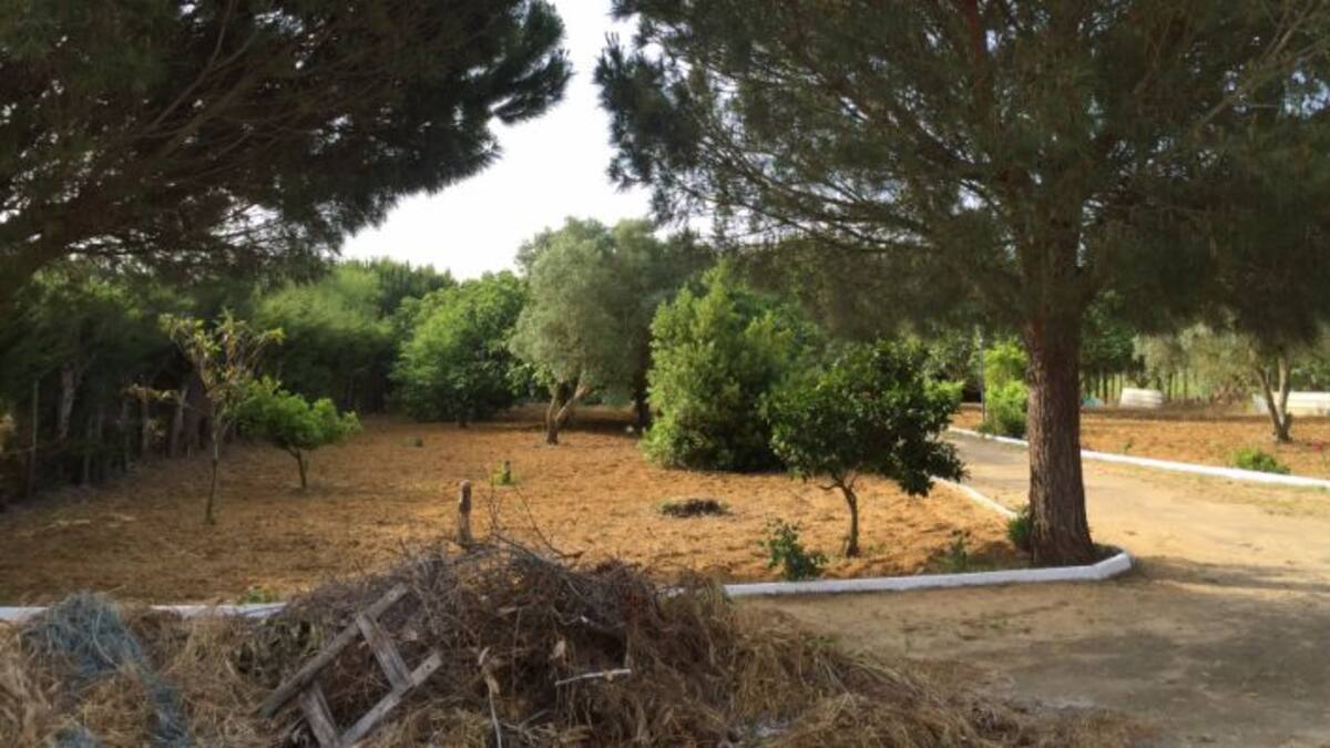 Muere ahogado un niño de dos años en Chiclana