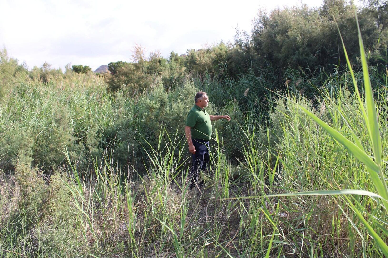 El Ayuntamiento de Lorca insta a la Confederación a la limpieza urgente del cauce del río Guadalentín