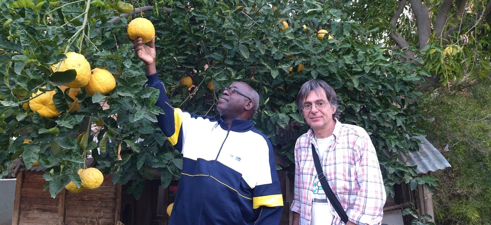 Momento de la visita de D. Apollanaire Bangayimbaga, rector de la Universidad de Ngozi (Burundi), en el Huerto de la Cora, observando los limones de Judea, con Salvador Mesa