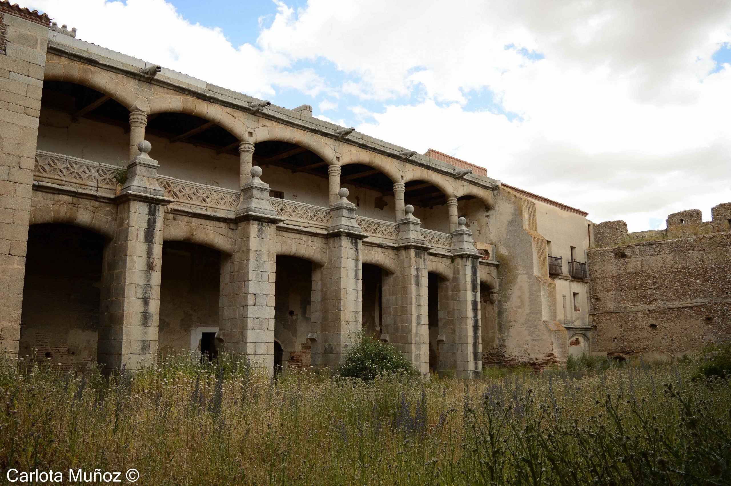 Galería de arcos escarzanos del Castillo de Castronuevo